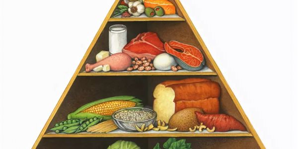 Czy należy stosować się do piramidy żywienia?